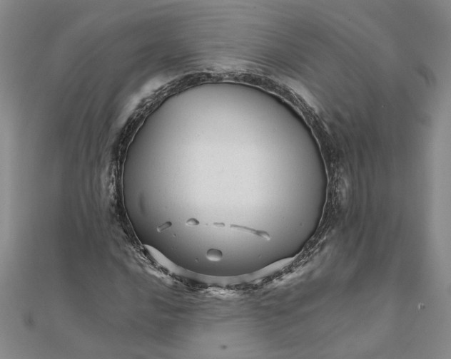 X0000111681016200908071420