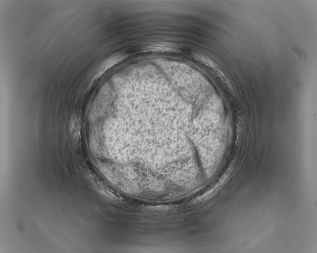 X0000111681017200908071420