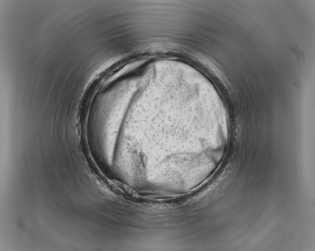 X0000111681018200908071420