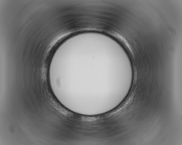 X0000111681019200908071420