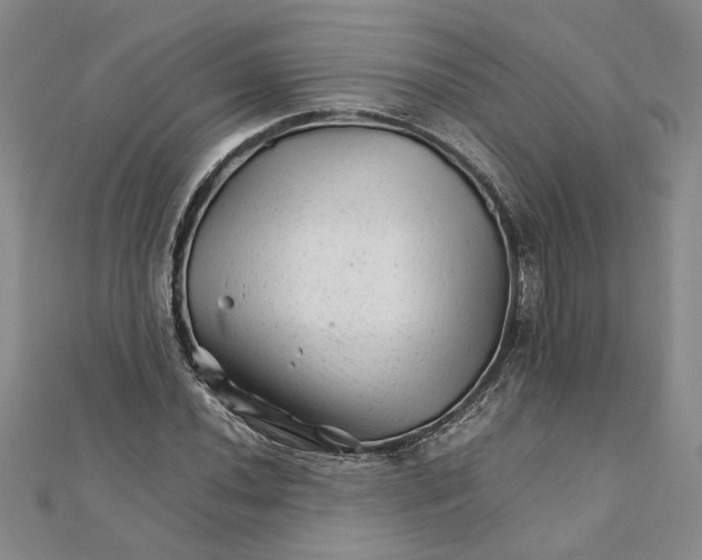 X0000111681020200908071420