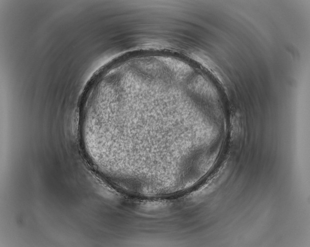 X0000111681021200908071420