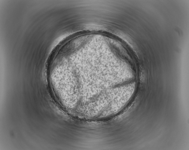 X0000111681022200908071421