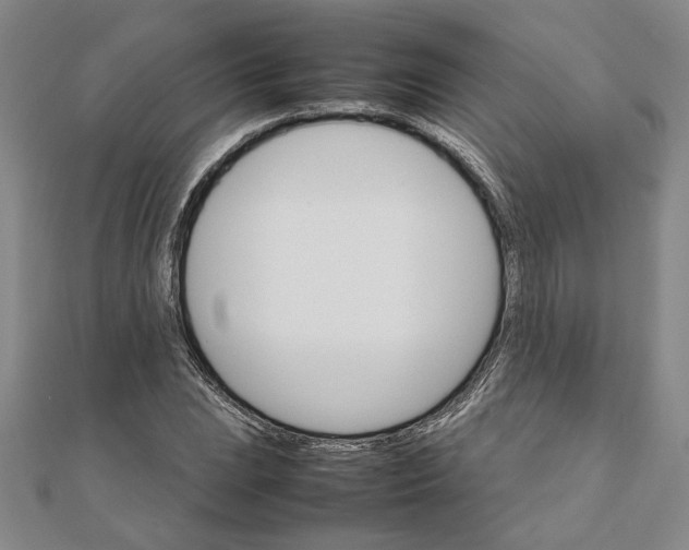 X0000111681023200908071421