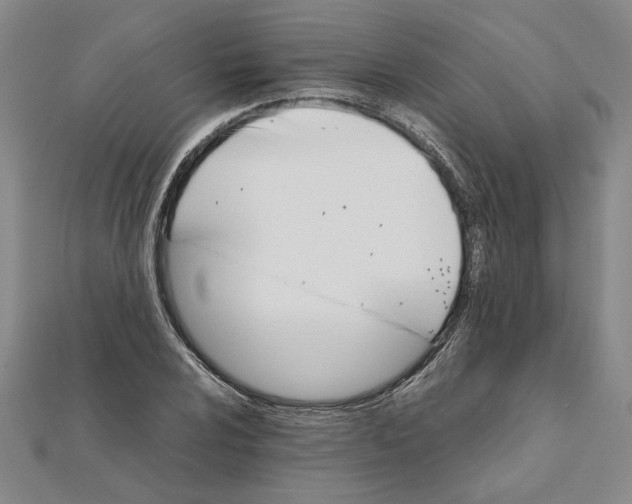 X0000111681024200908071421