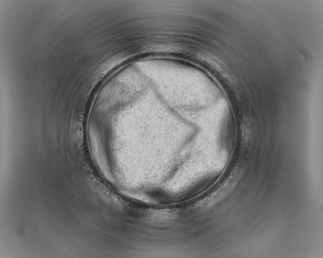 X0000111681025200908071421