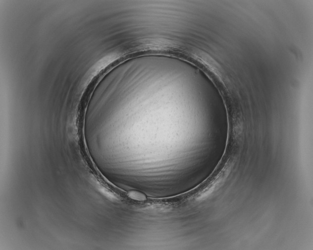 X0000111681026200908071421