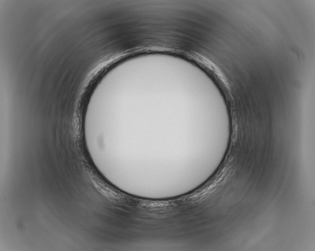 X0000111681027200908071421