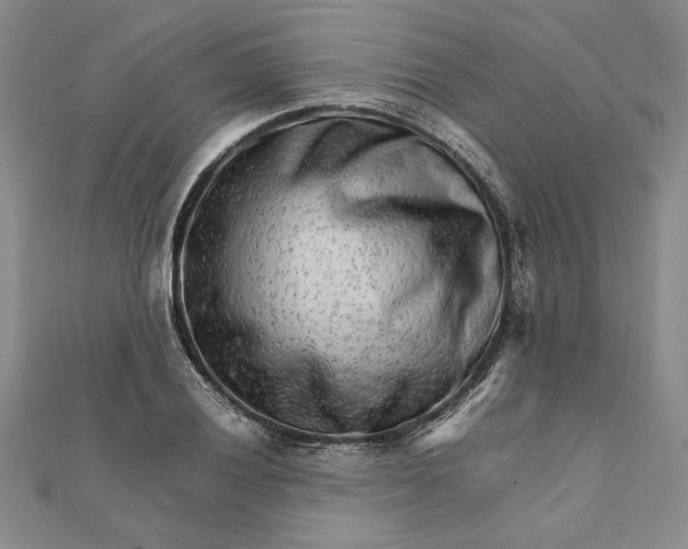 X0000111681028200908071421