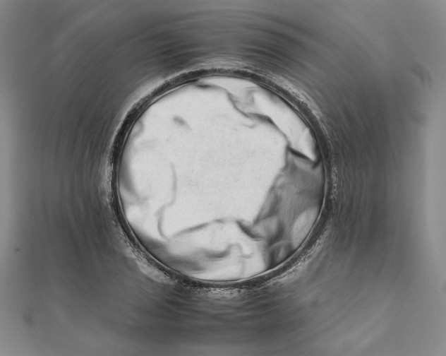 X0000111681029200908071421