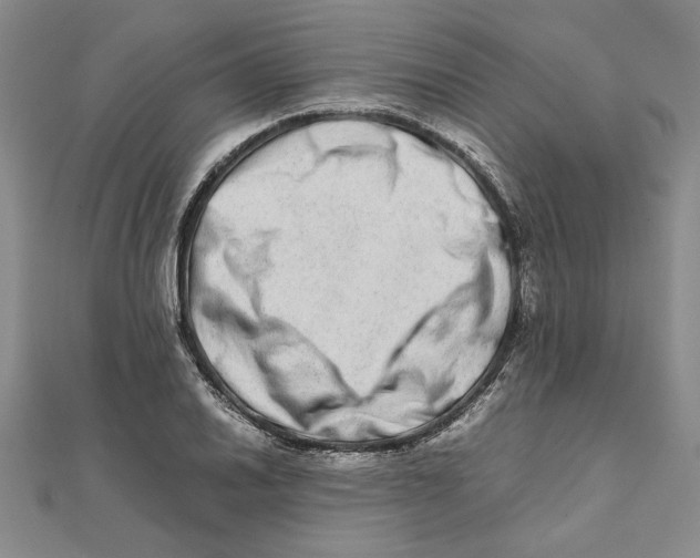 X0000111681030200908071421