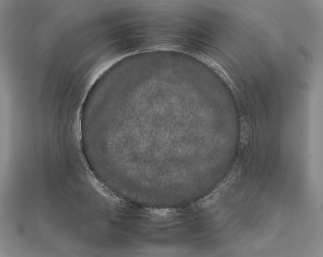 X0000111681031200908071421