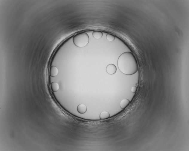 X0000111681032200908071421