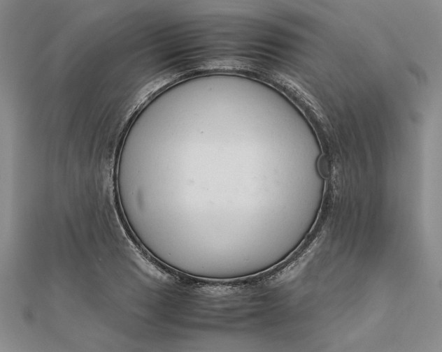 X0000111681033200908071421