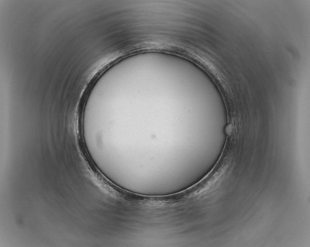 X0000111681034200908071421