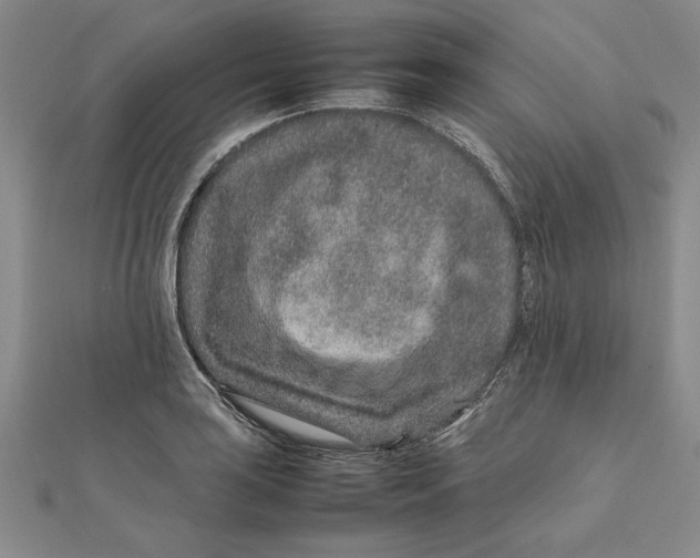 X0000111681035200908071421