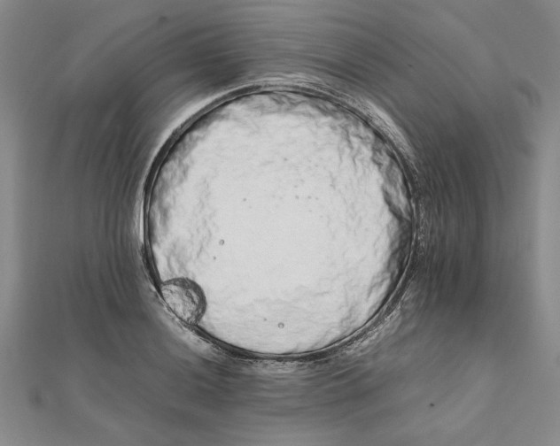 X0000111681036200908071421