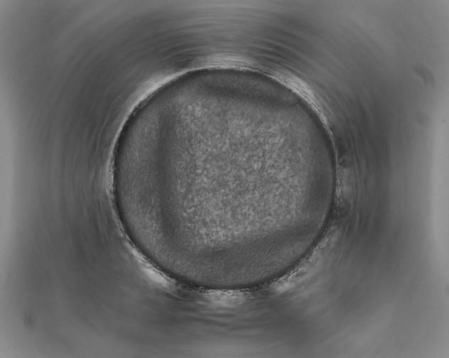 X0000111681037200908071421