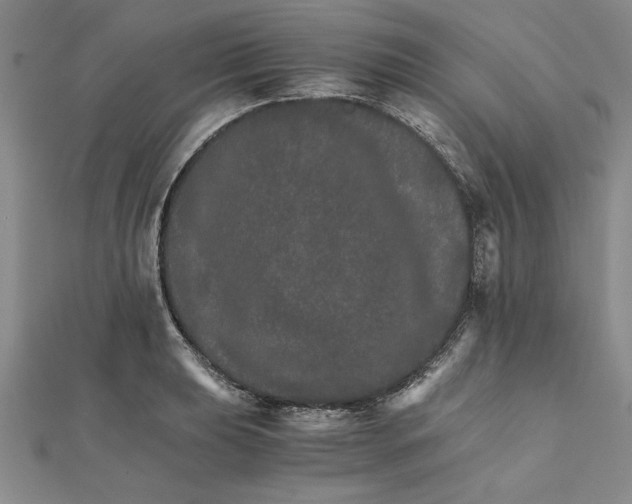 X0000111681039200908071421