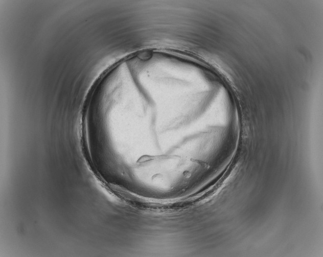 X0000111681040200908071421