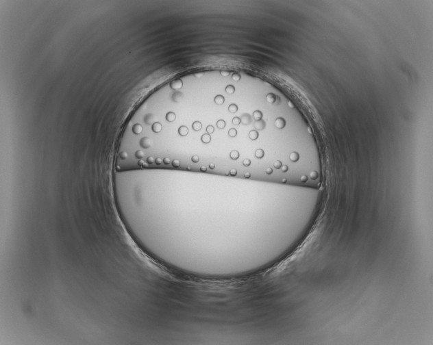 X0000111681041200908071421