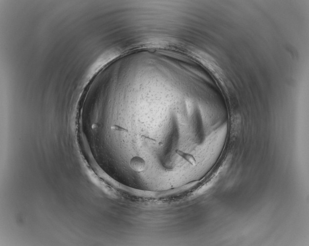 X0000111681042200908071421