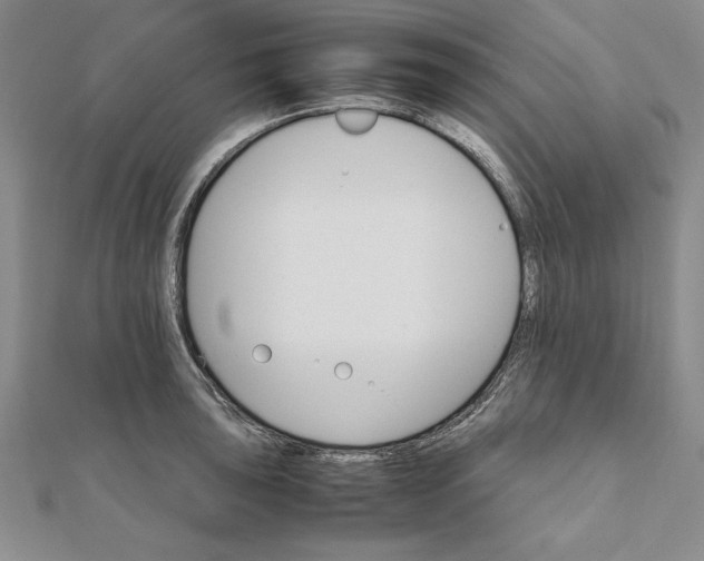 X0000111681043200908071421