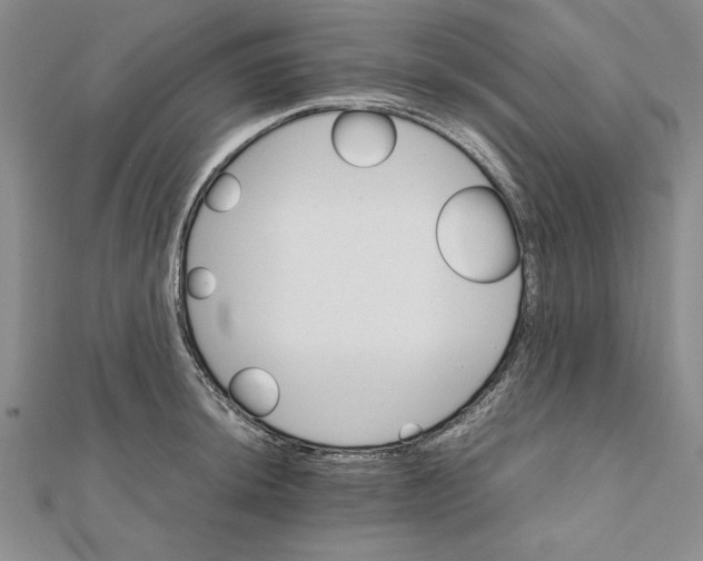 X0000111681044200908071421