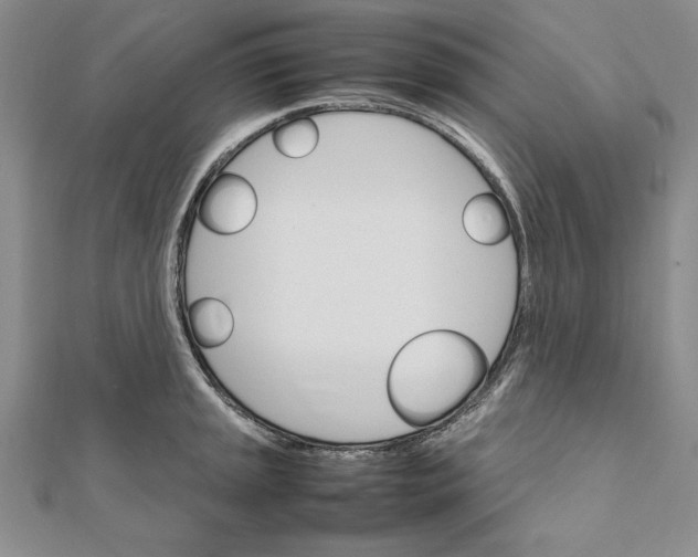 X0000111681045200908071421