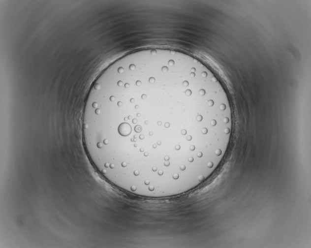 X0000111681049200908071421