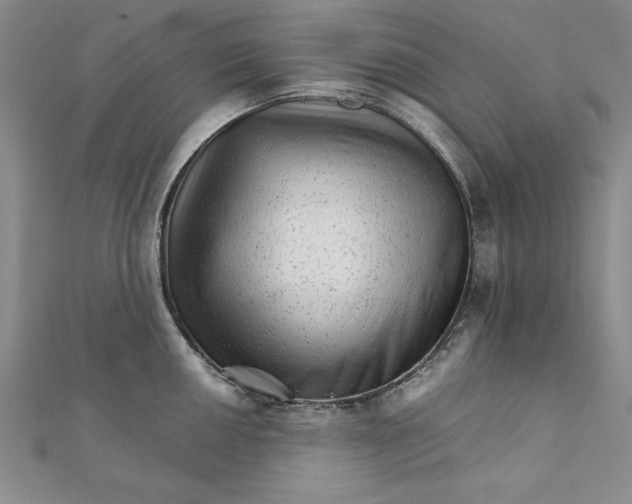 X0000111681050200908071421