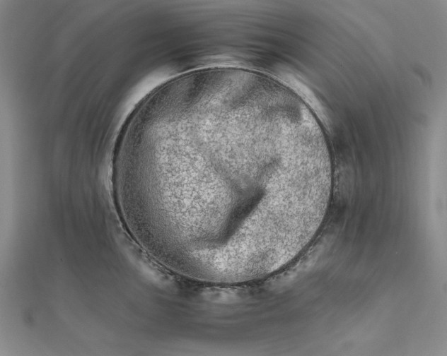 X0000111681051200908071421