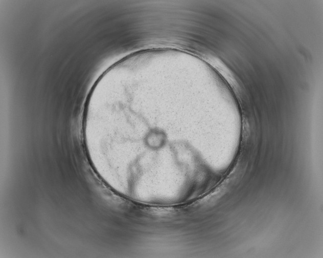 X0000111681052200908071421