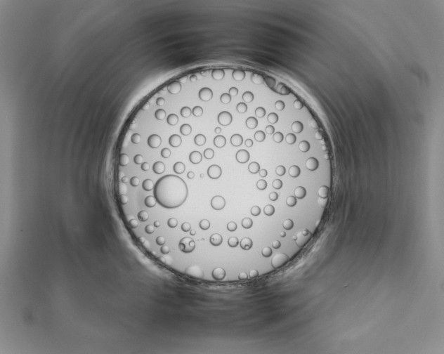 X0000111681053200908071421