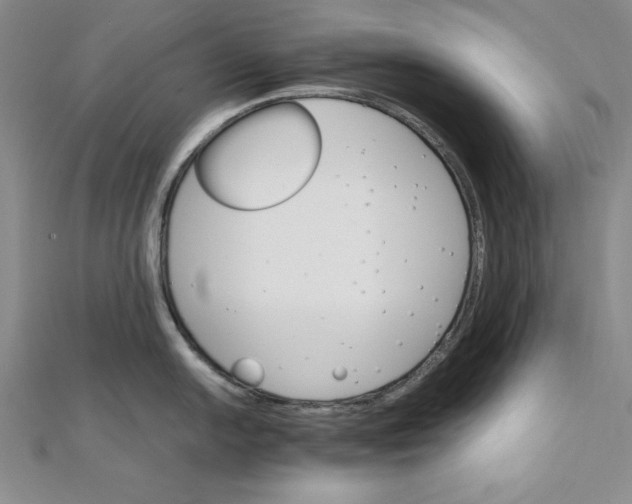 X0000111681054200908071421