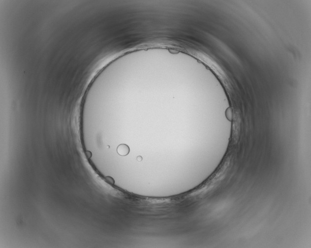 X0000111681055200908071421