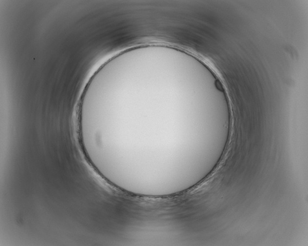 X0000111681056200908071421