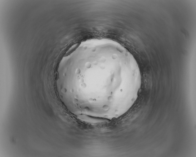 X0000111681057200908071420