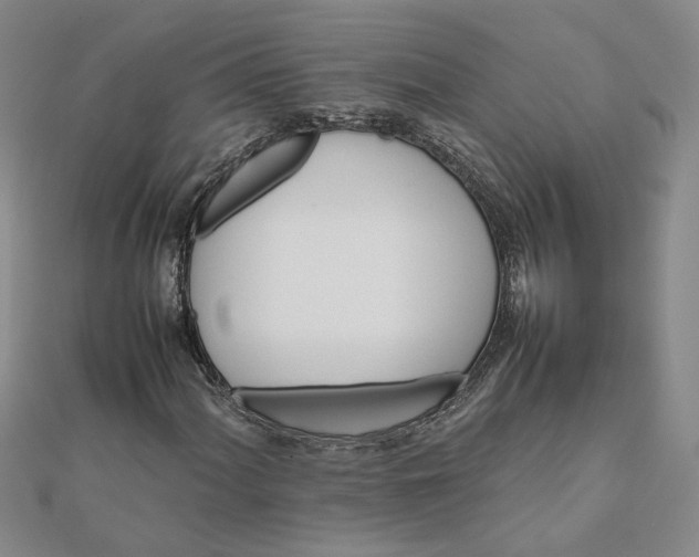 X0000111681060200908071420