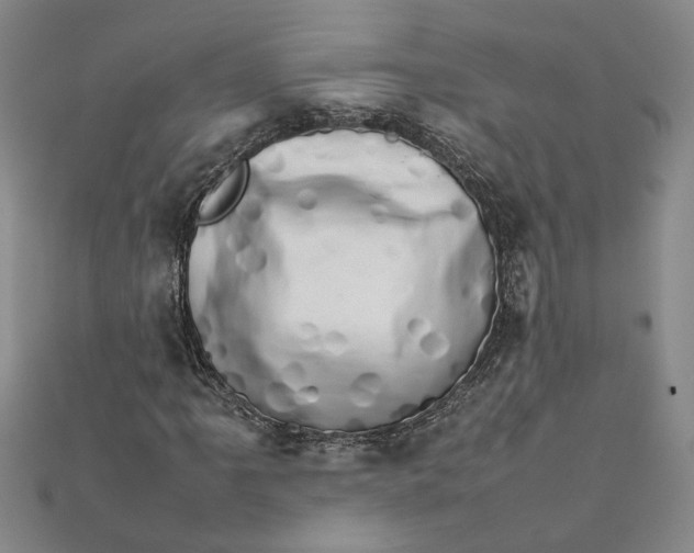 X0000111681061200908071420