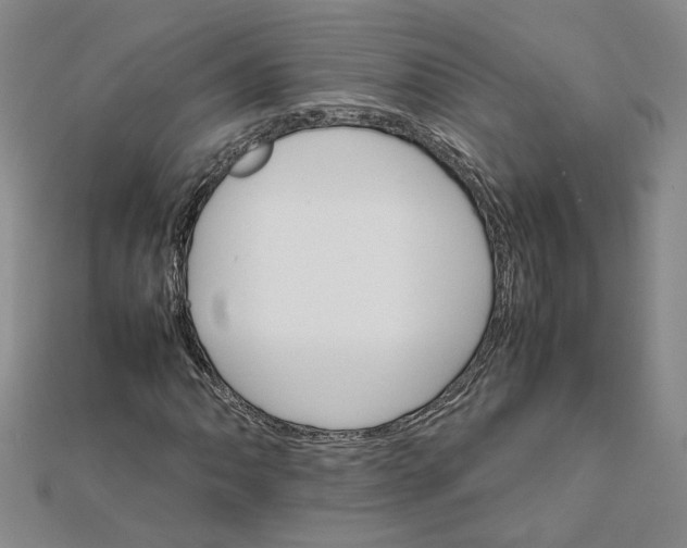 X0000111681062200908071420