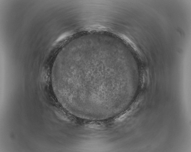 X0000111681063200908071420