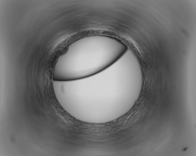 X0000111681064200908071420