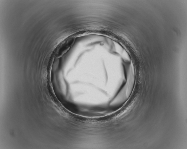 X0000111681065200908071420