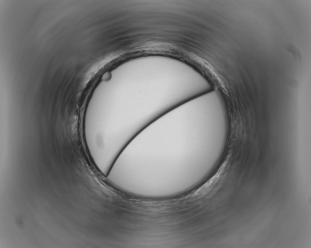 X0000111681066200908071420