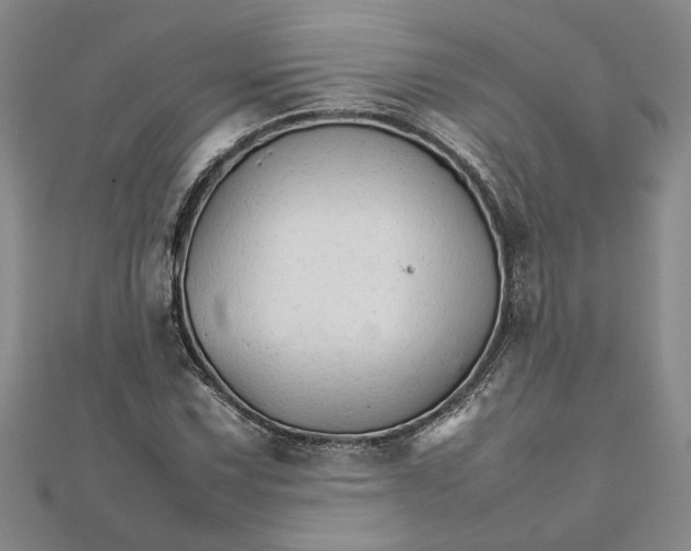 X0000111681067200908071420