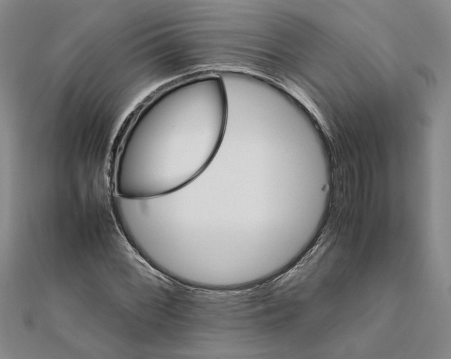 X0000111681068200908071420