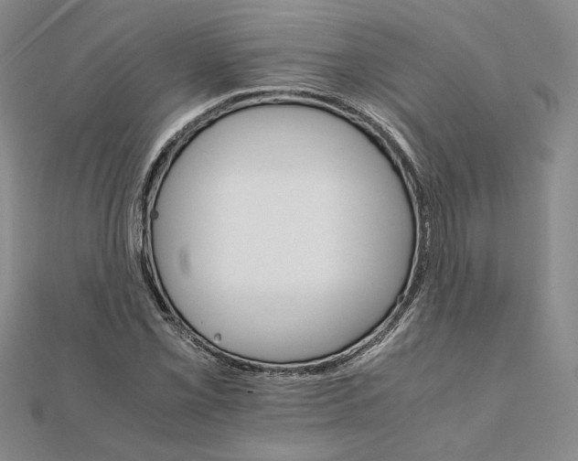 X0000111681069200908071420