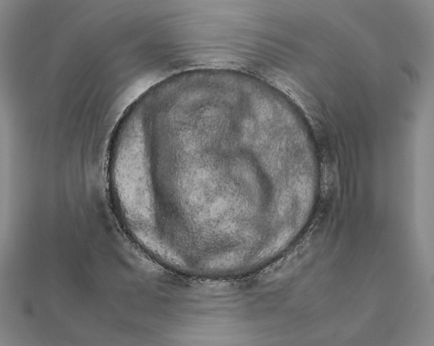 X0000111681071200908071420