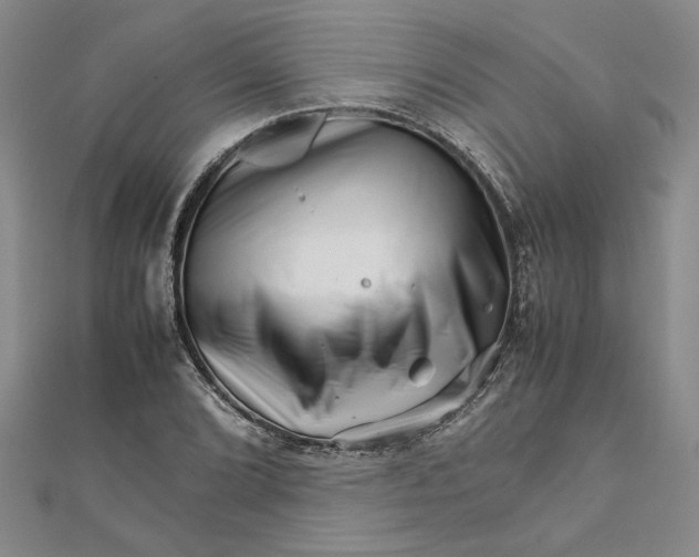 X0000111681072200908071420